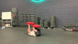 Paused alekna demonstration